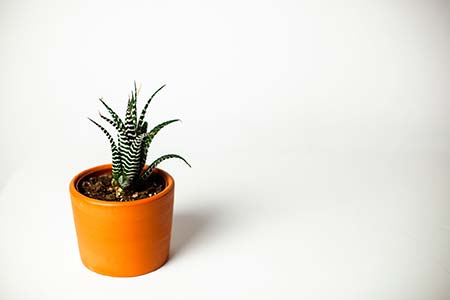 广州大学成人高考2018可以选什么专业?