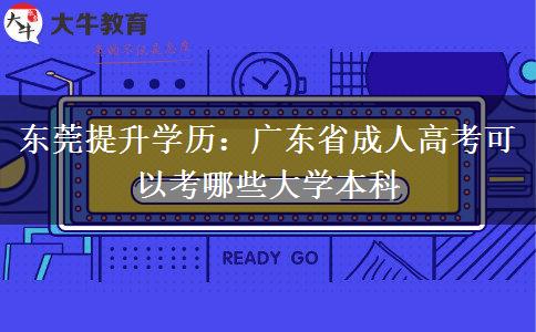 东莞提升学历：广东省成人高考可以考哪些大学本科