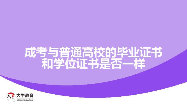 大牛教育成考网