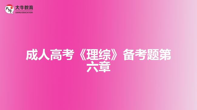 大牛教育成考网