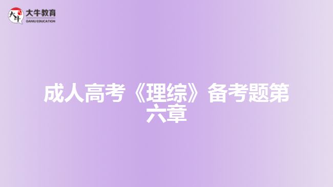 大牛教育成考网