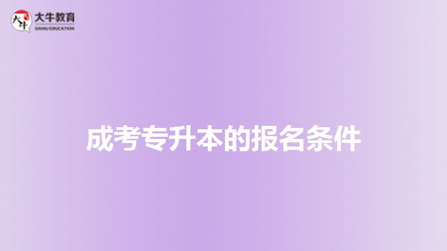 考试报名