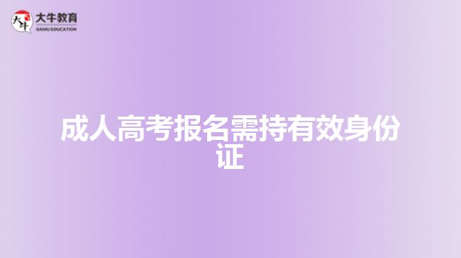 成考报名