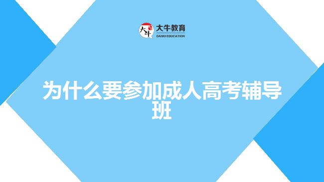 成考考前辅导班