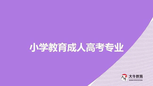 成人高考小学教育专业