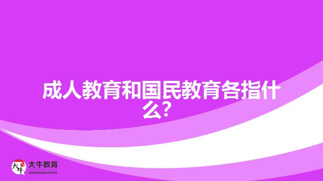 成人教育和国民教育