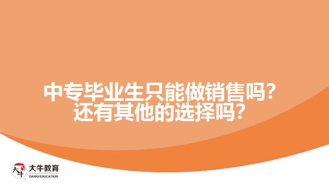 中专毕业生只能做销售吗？还有其他的选择吗？