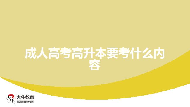 成人高考高升本要考什么内容