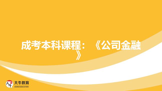 成考本科课程：《公司金融》