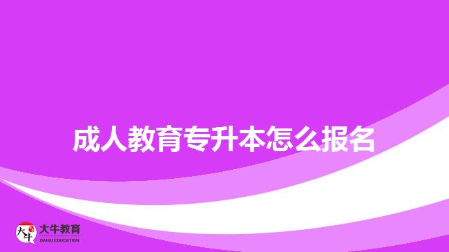 成人教育专升本报名