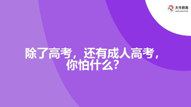 除了高考，还有成人高考，你怕什么？