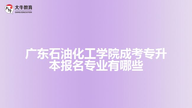 成考专升本报名专业