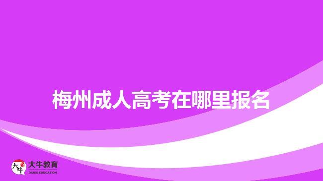 梅州成人高考在哪里报名