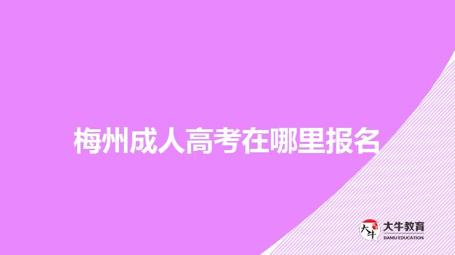 梅州成人高考在哪里报名