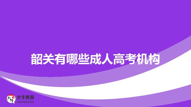 韶关有哪些成人高考机构