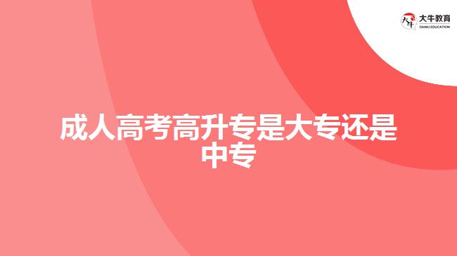 成人大专