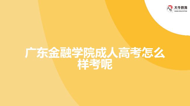 广东金融学院成人高考