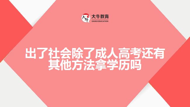 成人高考拿学历