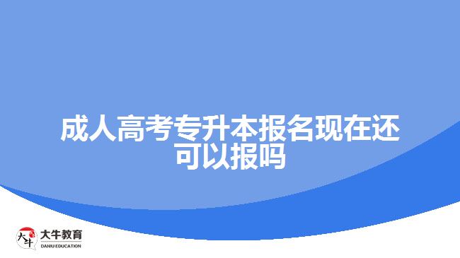 成人高考专升本报名