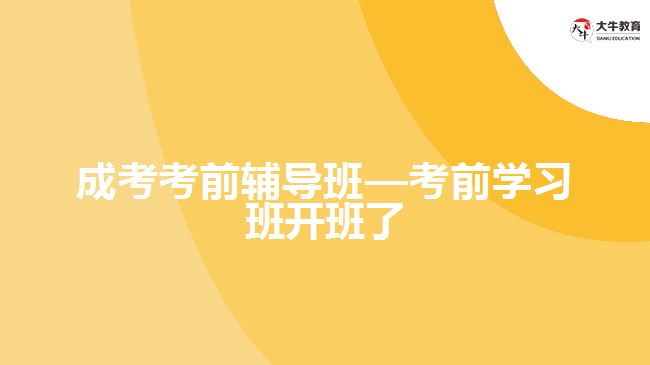 成考考前辅导考前学习班