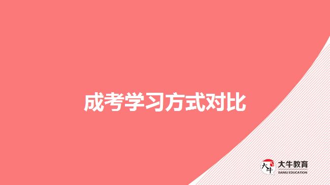 成考学习方式