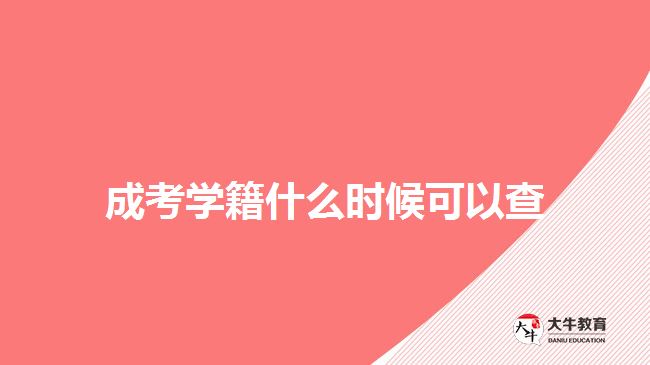 成考学籍什么时候可以查