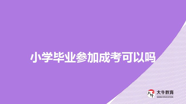 小学毕业参加成考可以吗