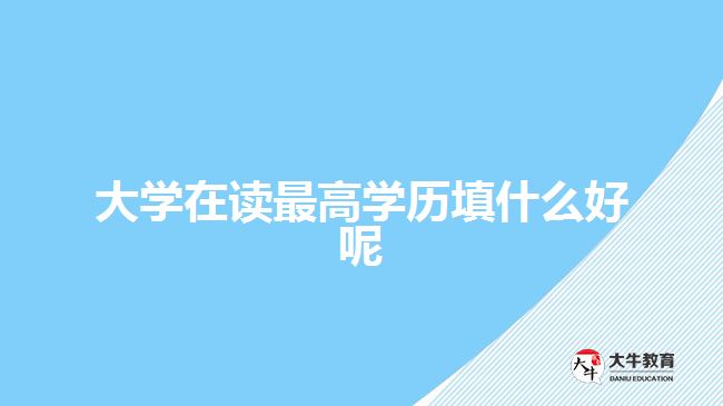 大学在读最高学历填什么好呢