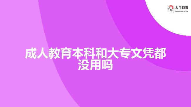 成人教育本科和大专文凭都没用吗