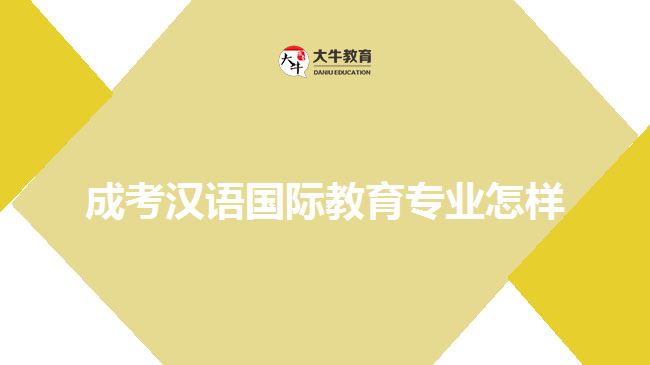 成考汉语国际教育专业怎样