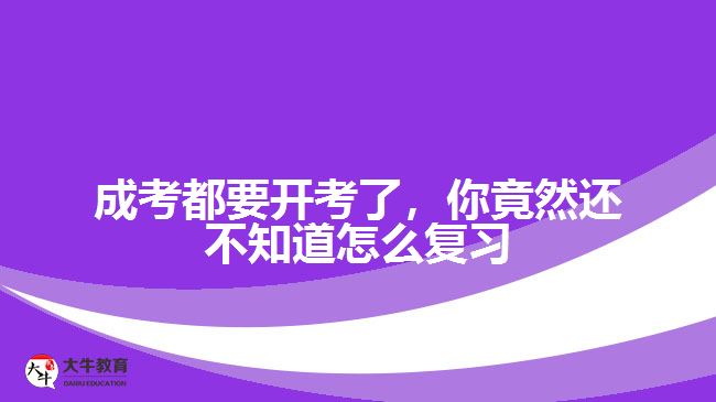 成考都要开考了，你竟然还不知道怎么复习