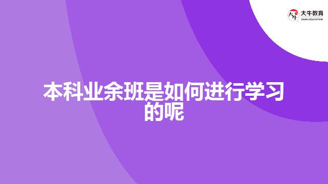本科业余班是如何进行学习的呢