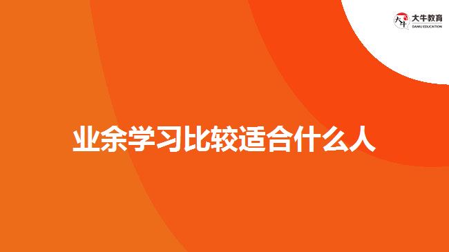业余学习比较适合什么人