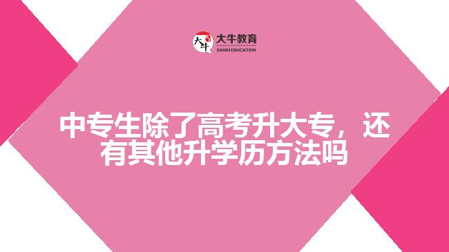 中专生除了高考升大专外，还有其他升学历的方法吗