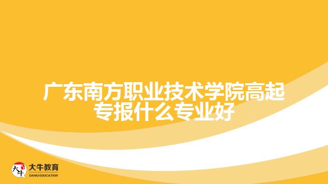 广东南方职业技术学院高起专报什么专业好