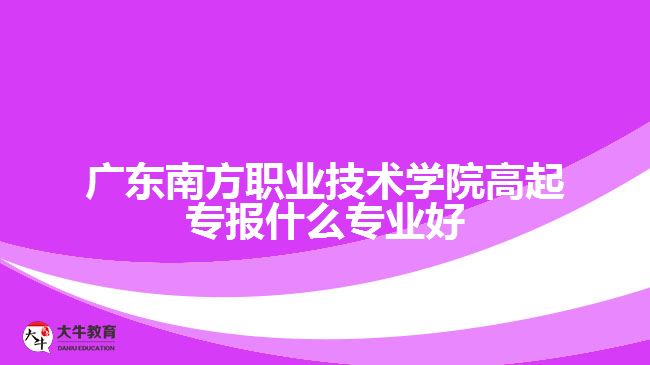 广东南方职业技术学院高起专报什么专业好
