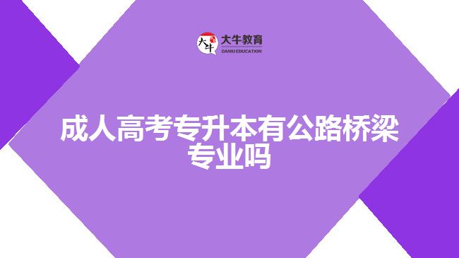 成人高考专升本有公路桥梁专业吗