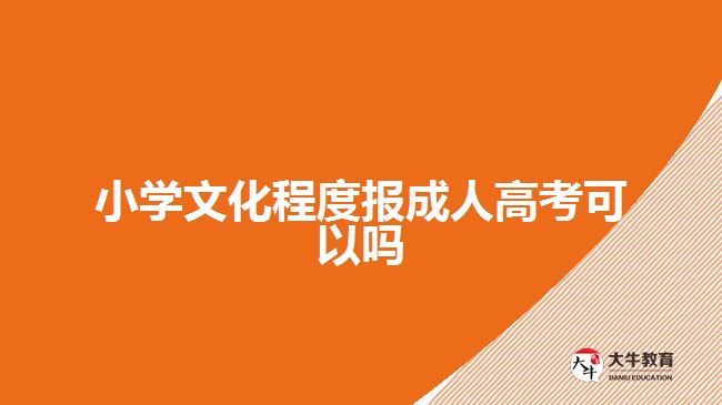 小学文化程度报成人高考可以吗