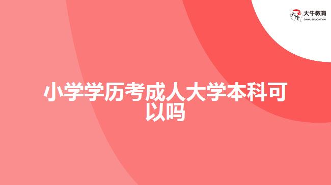 小学学历考成人大学本科可以吗