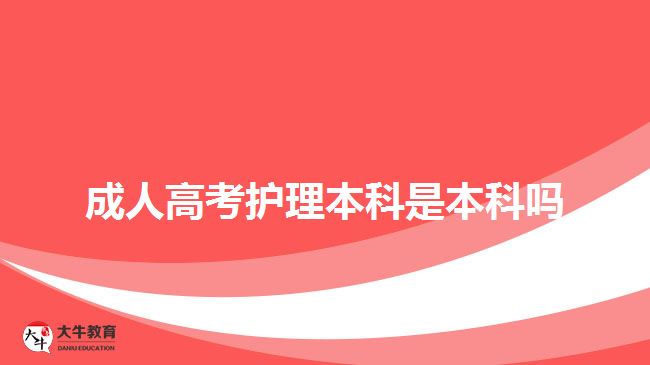 成人高考护理本科是本科吗