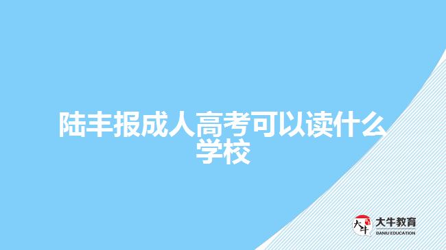 陆丰报成人高考可以读什么学校