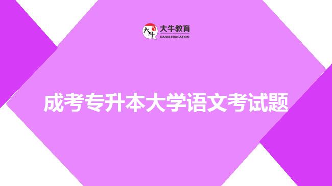 成考专升本大学语文考试