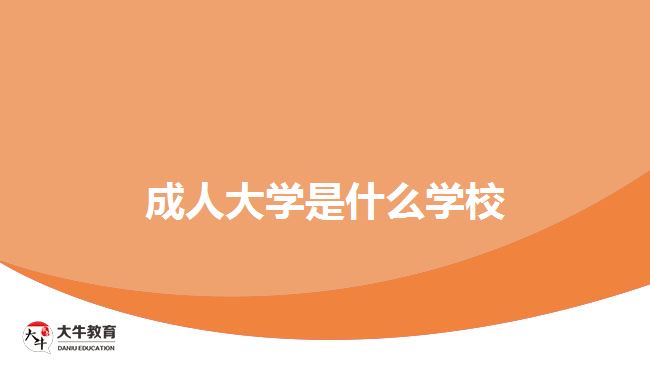 成人大学是什么学校