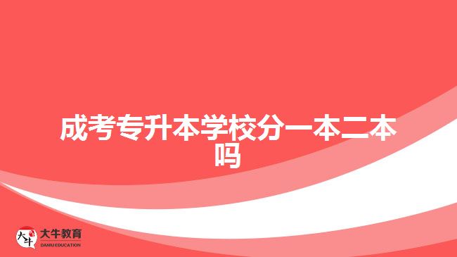 成考专升本学校分一本二本吗