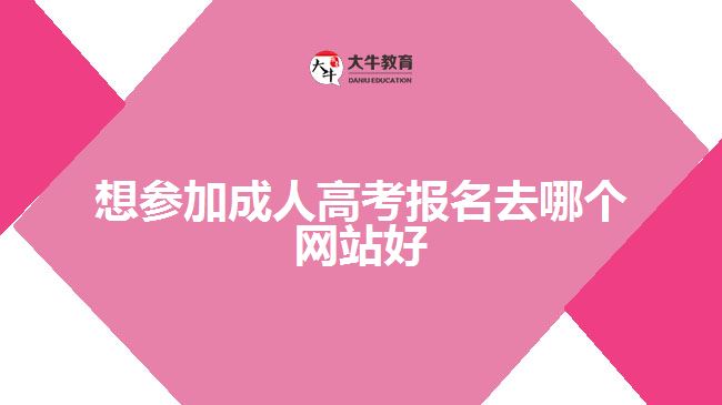 想参加成人高考报名去哪个网站好