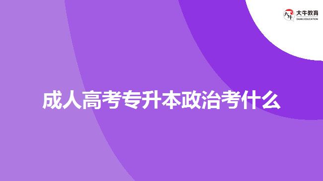 成人高考专升本政治考什么