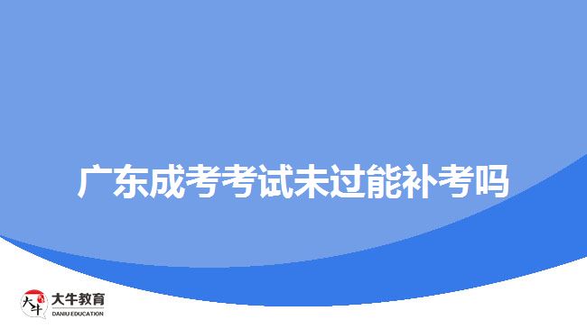 广东成考考试未过能补考吗