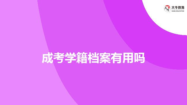 成考学籍档案有用吗