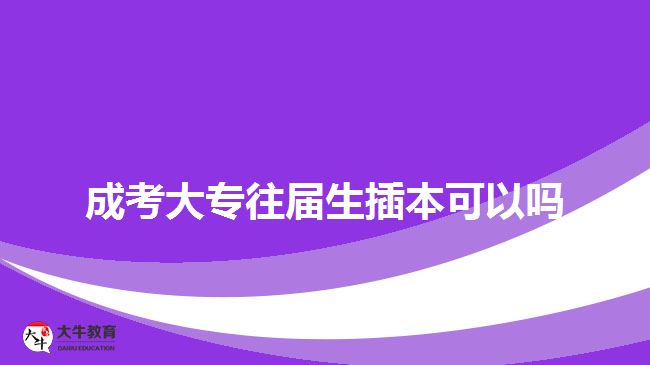 成考大专往届生插本可以吗