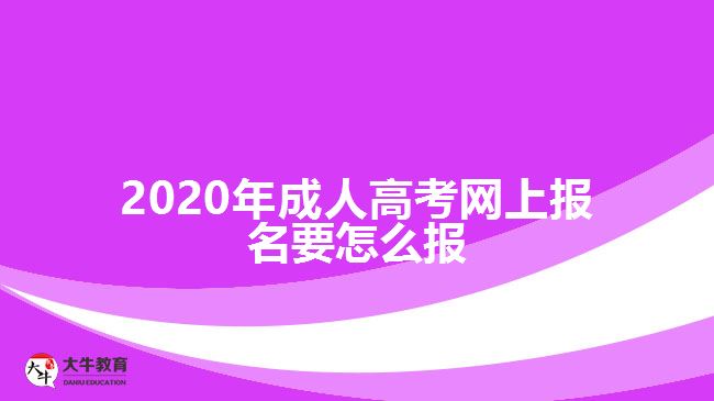 ，2020年成人高考网上报名要怎么报